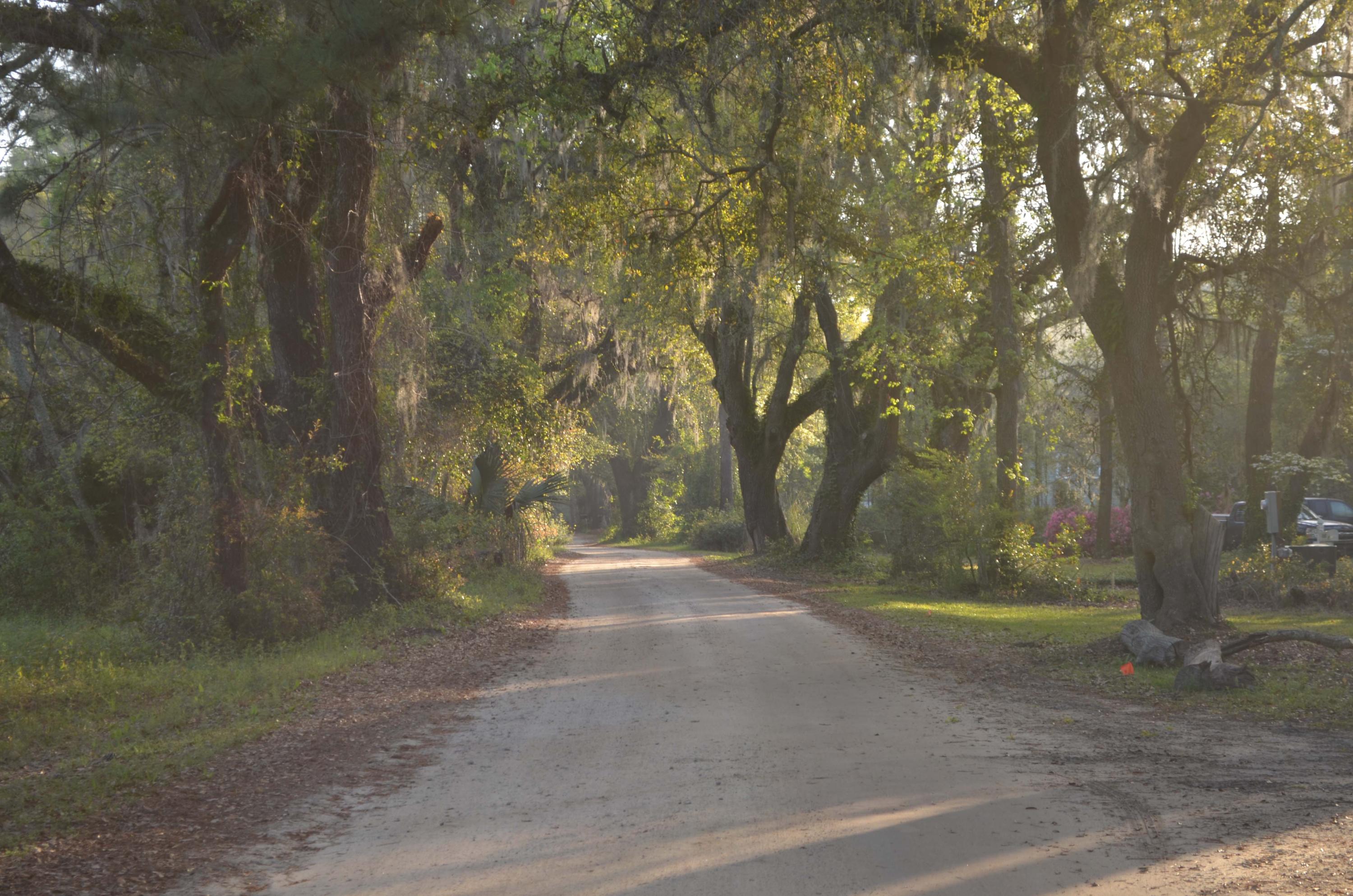 325 Mercantile Road McClellanville, SC 29458 - Photo 33 of 33 Mercantile Road