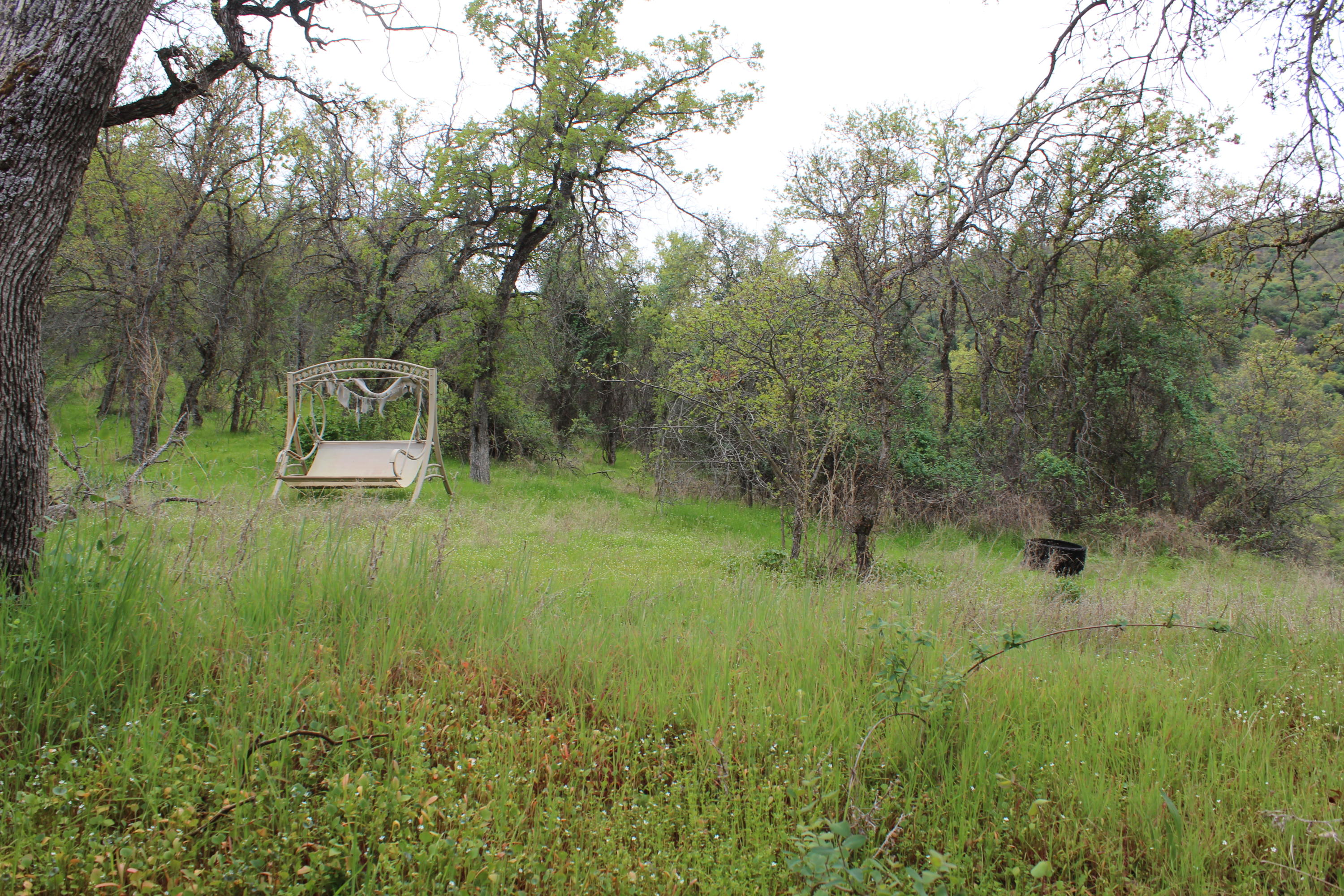 0 Rio Vista Road Springville, CA 93265 - Photo 5 of 32 IMG_4813