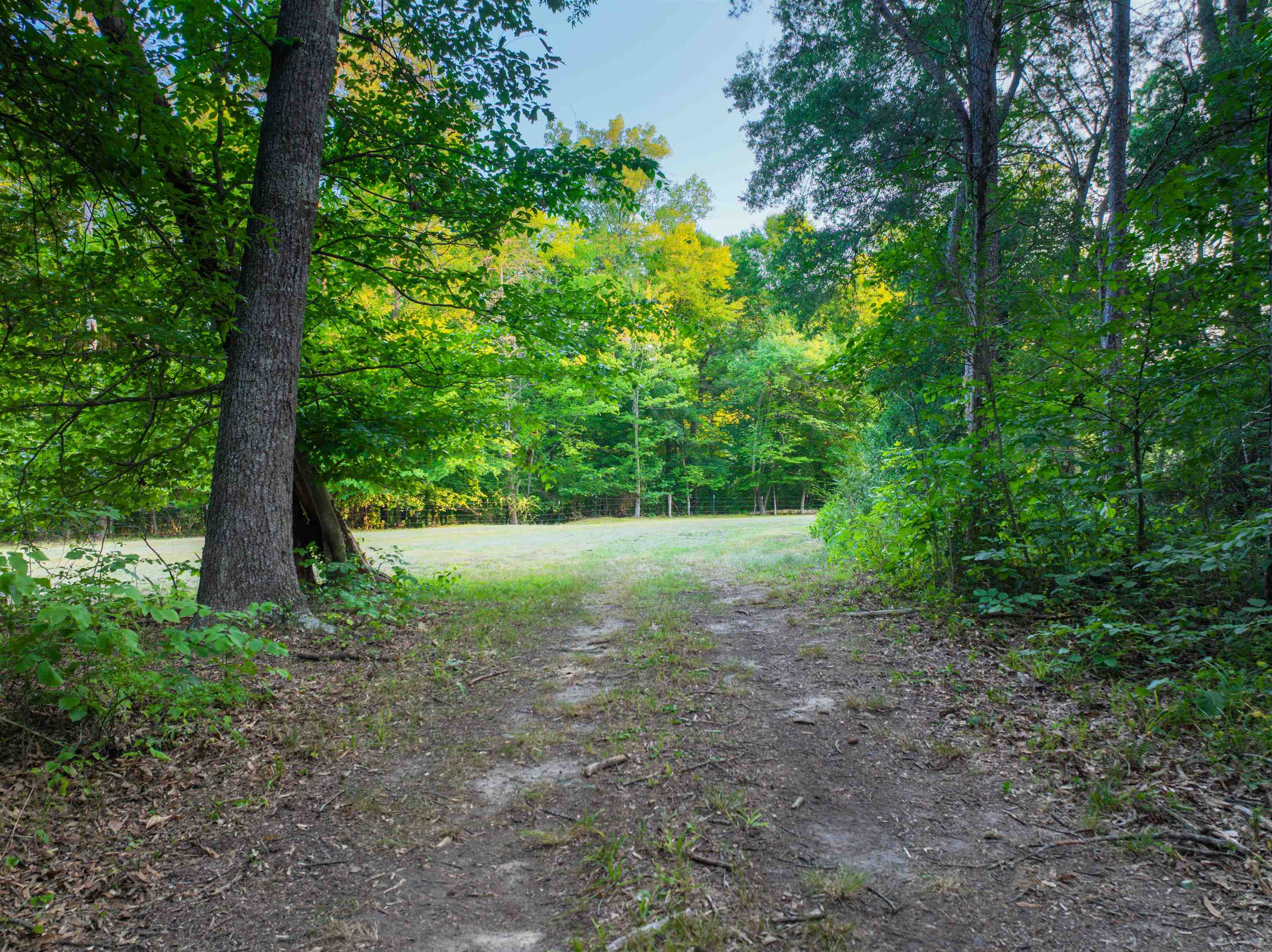 Tbd Tbd Bridgeport Road Arvonia, VA 23004 - Photo 51 of 60 Gallery Image 51