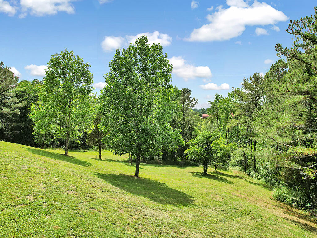 214 Chestuee Road Calhoun, TN 37309 - Photo 39 of 52 37