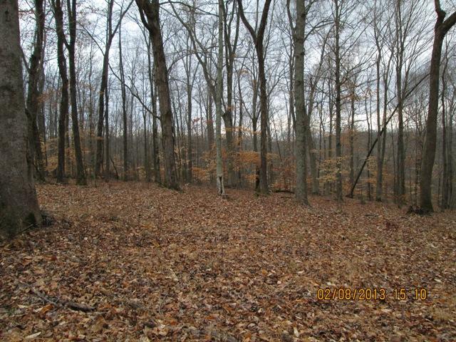 5940 Doug Thompson Road Franklin, TN 37064 - Photo 8 of 18