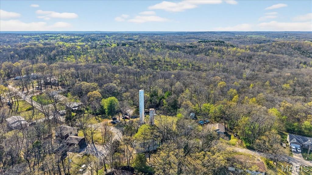 4153 Ridge Drive De Soto, MO 63020 - Photo 39 of 41