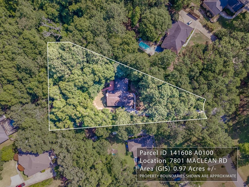 7801 MacLean Road Tallahassee, FL 32312 - Photo 6 of 33 Gallery Image 6