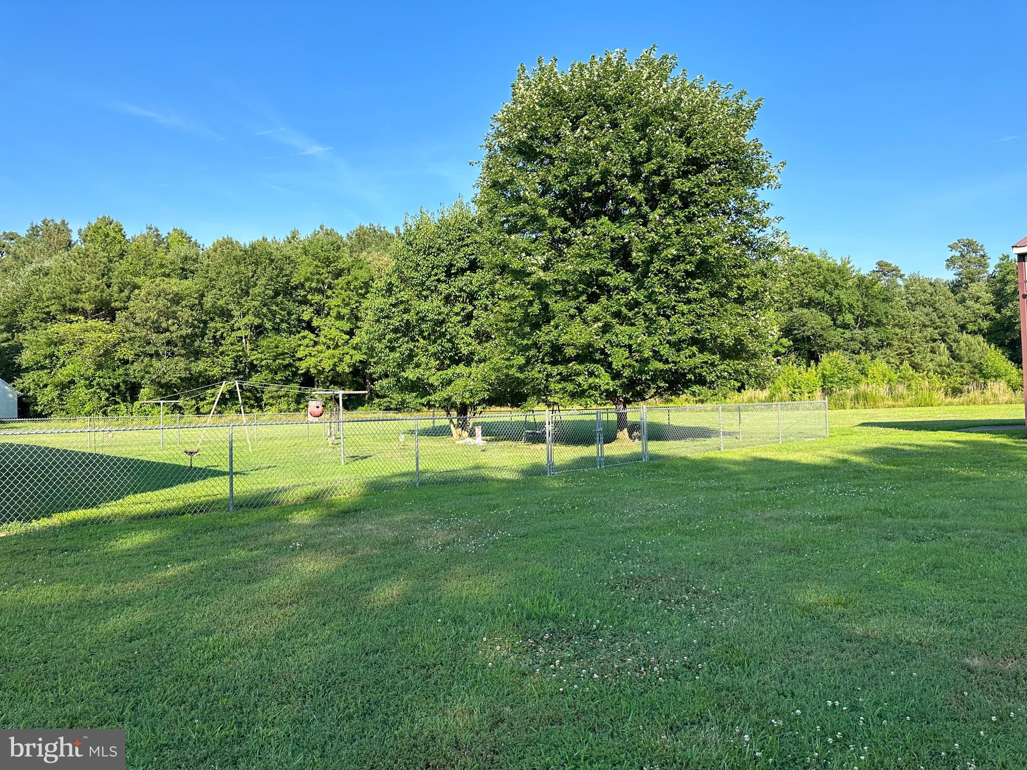 9301 Rum Ridge Road Delmar, MD 21875 - Photo 3 of 6