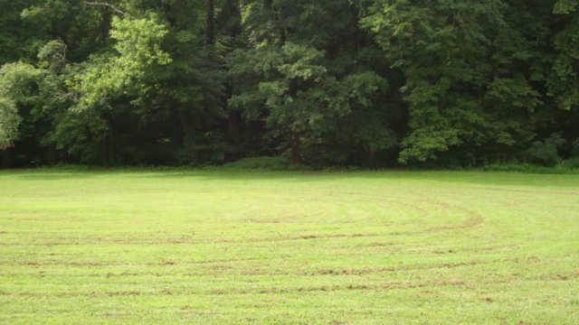 1871 Adams Road Charlotte, TN 37036 - Photo 3 of 8 Gallery Image 3