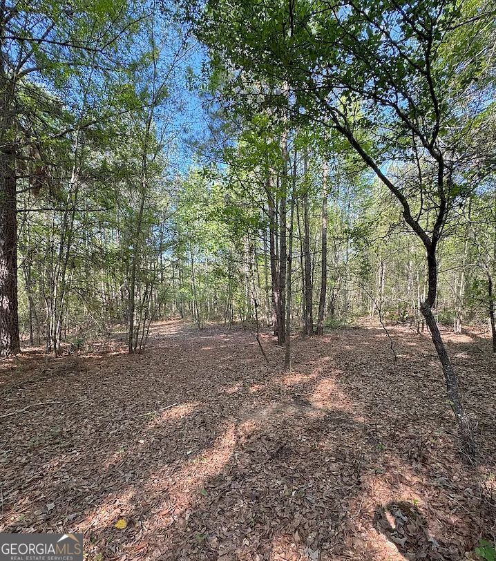 0 Middle Ground Road Louisville, GA 30434 - Photo 2 of 4 Gallery Image 2
