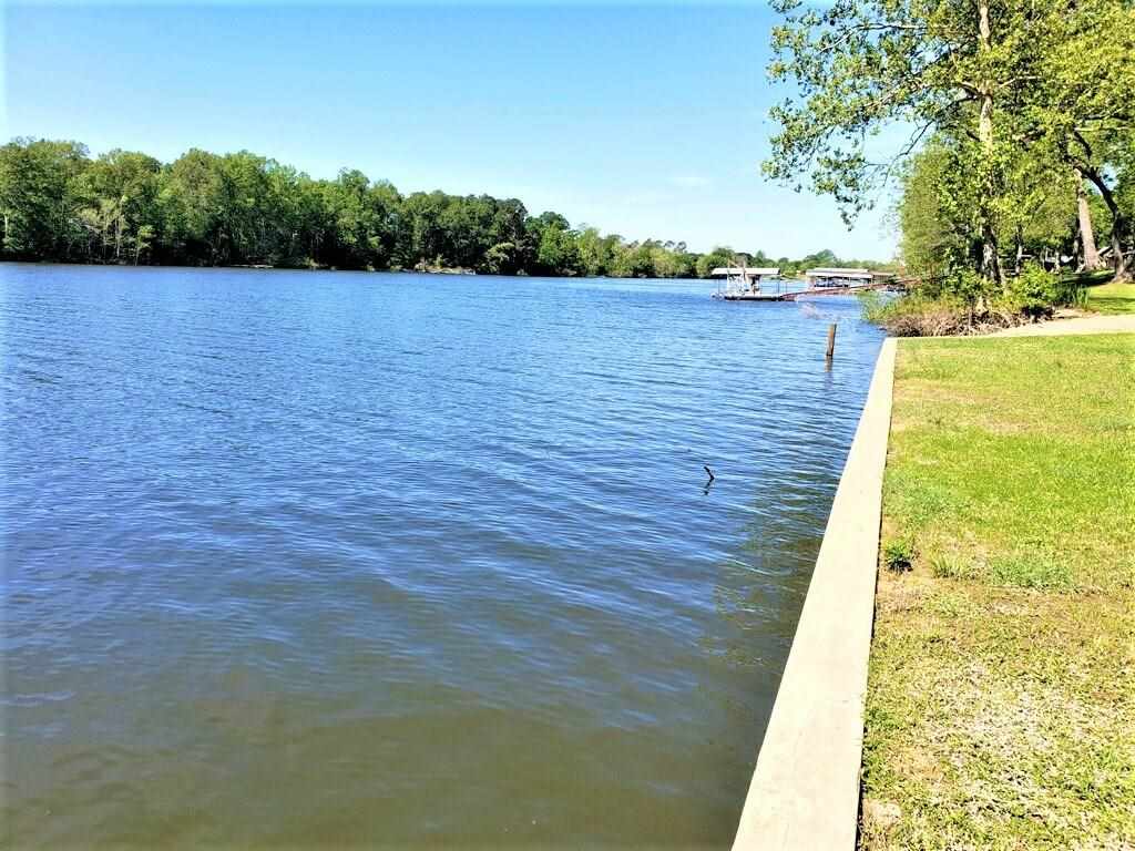 4125 Parhams Road Jonesville, LA 71343 - Photo 4 of 20 Gallery Image 4