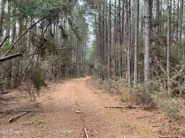 $611,325 | Berwick Cassels Road, Gloster, MS 39638