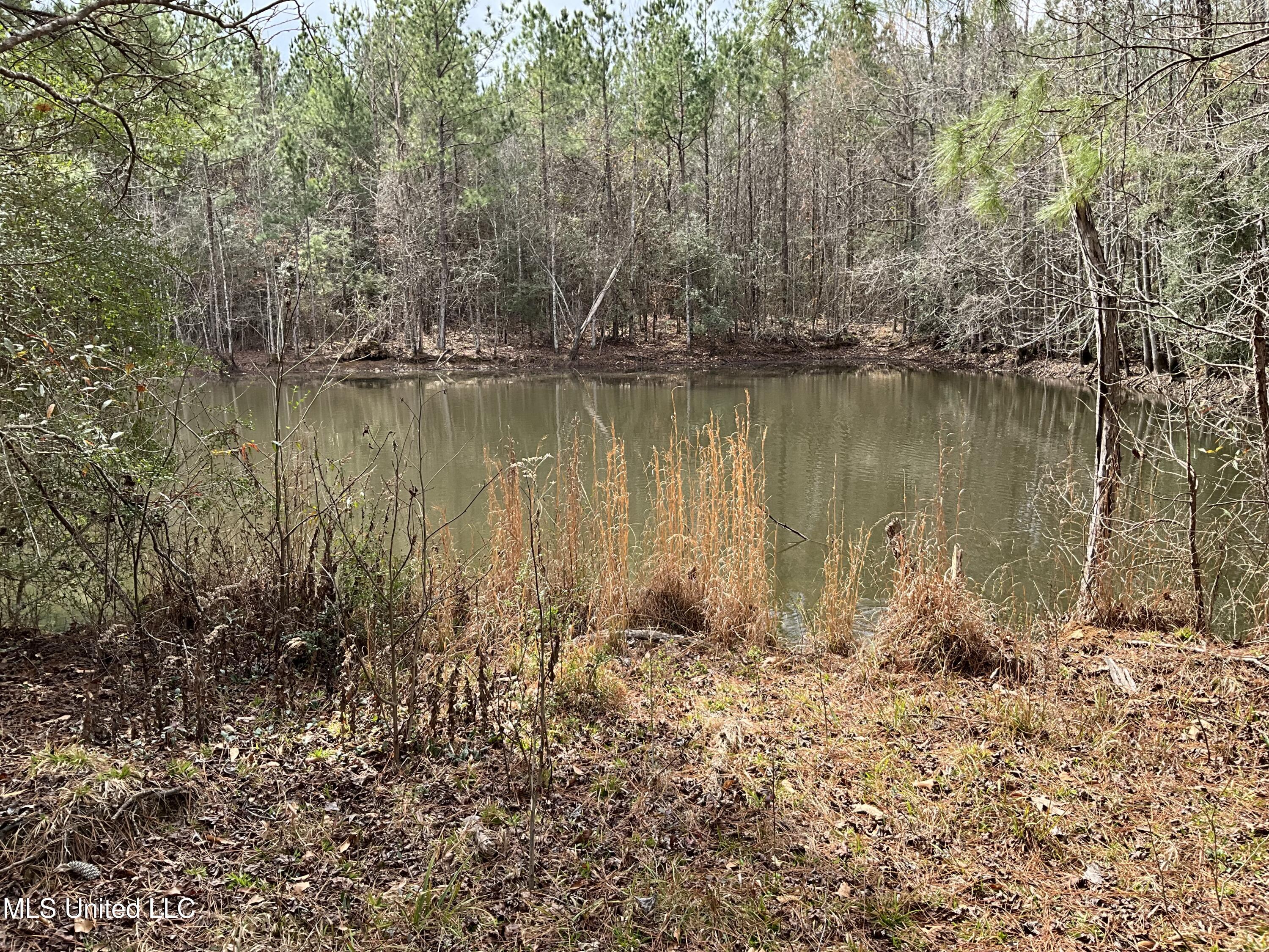 Berwick Cassels Road Gloster, MS 39638 - Photo 2 of 13 IMG_0487
