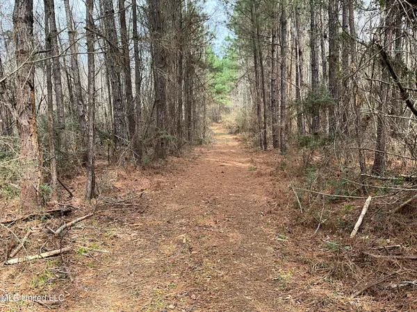 $611,325 | Berwick Cassels Road, Gloster, MS 39638