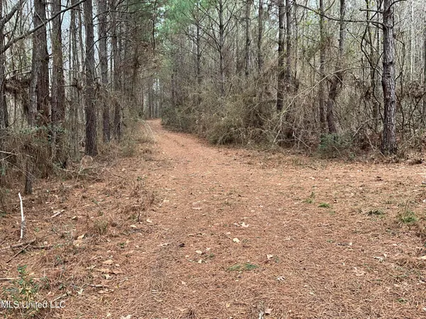 $611,325 | Berwick Cassels Road, Gloster, MS 39638