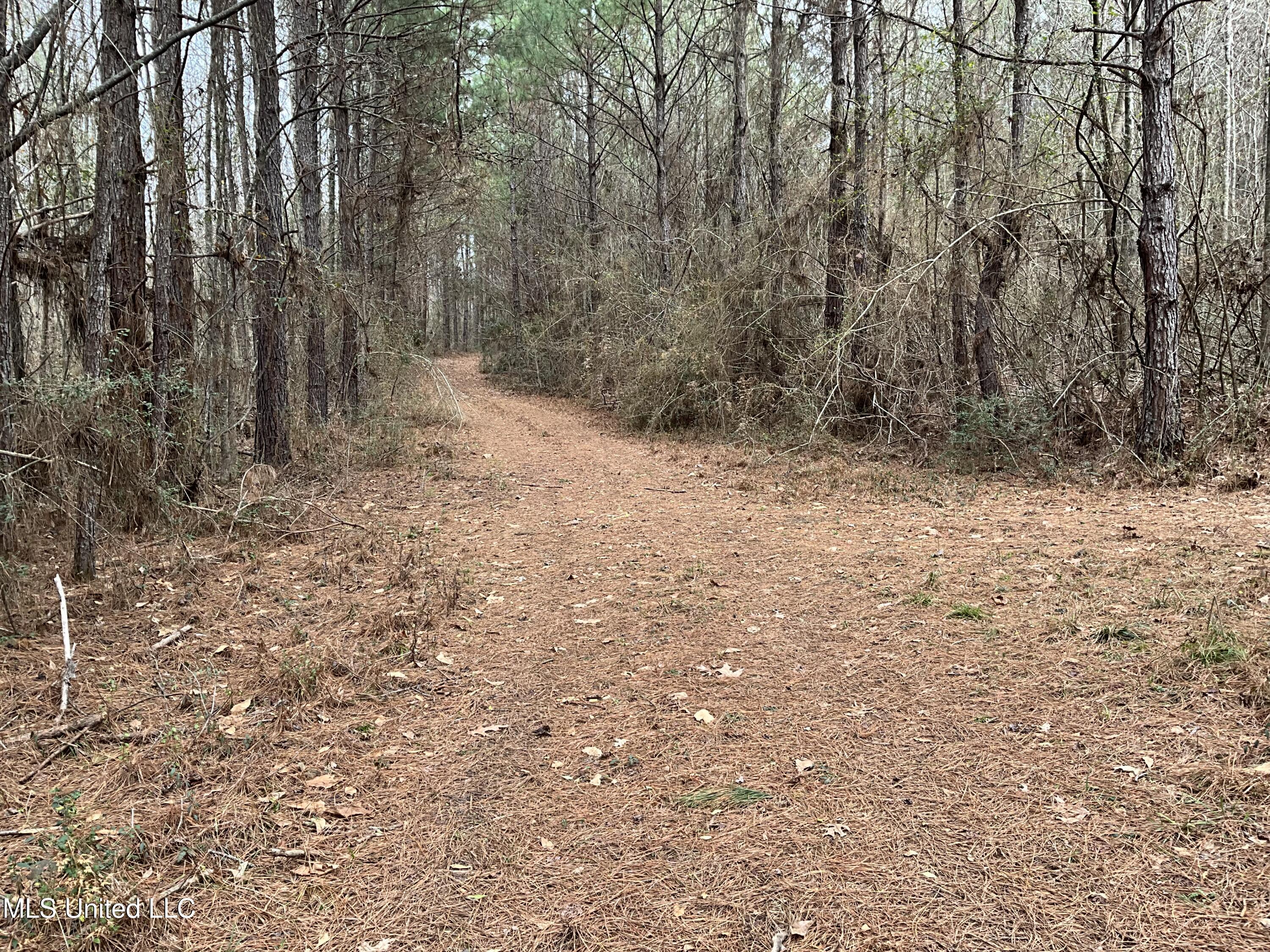 Berwick Cassels Road Gloster, MS 39638 - Photo 4 of 13 IMG_0502