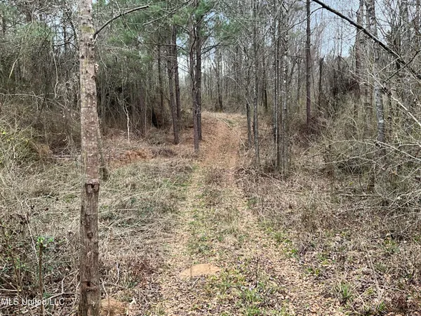$611,325 | Berwick Cassels Road, Gloster, MS 39638