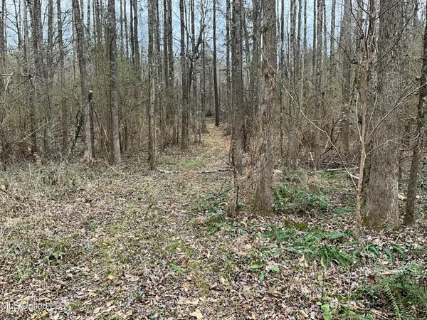 $611,325 | Berwick Cassels Road, Gloster, MS 39638