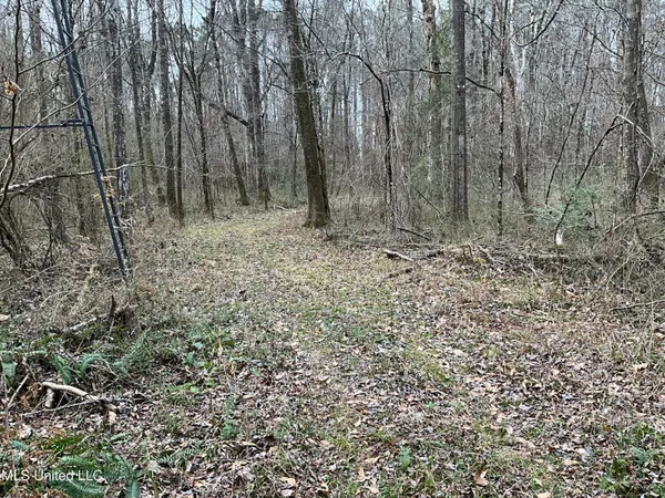 $611,325 | Berwick Cassels Road, Gloster, MS 39638