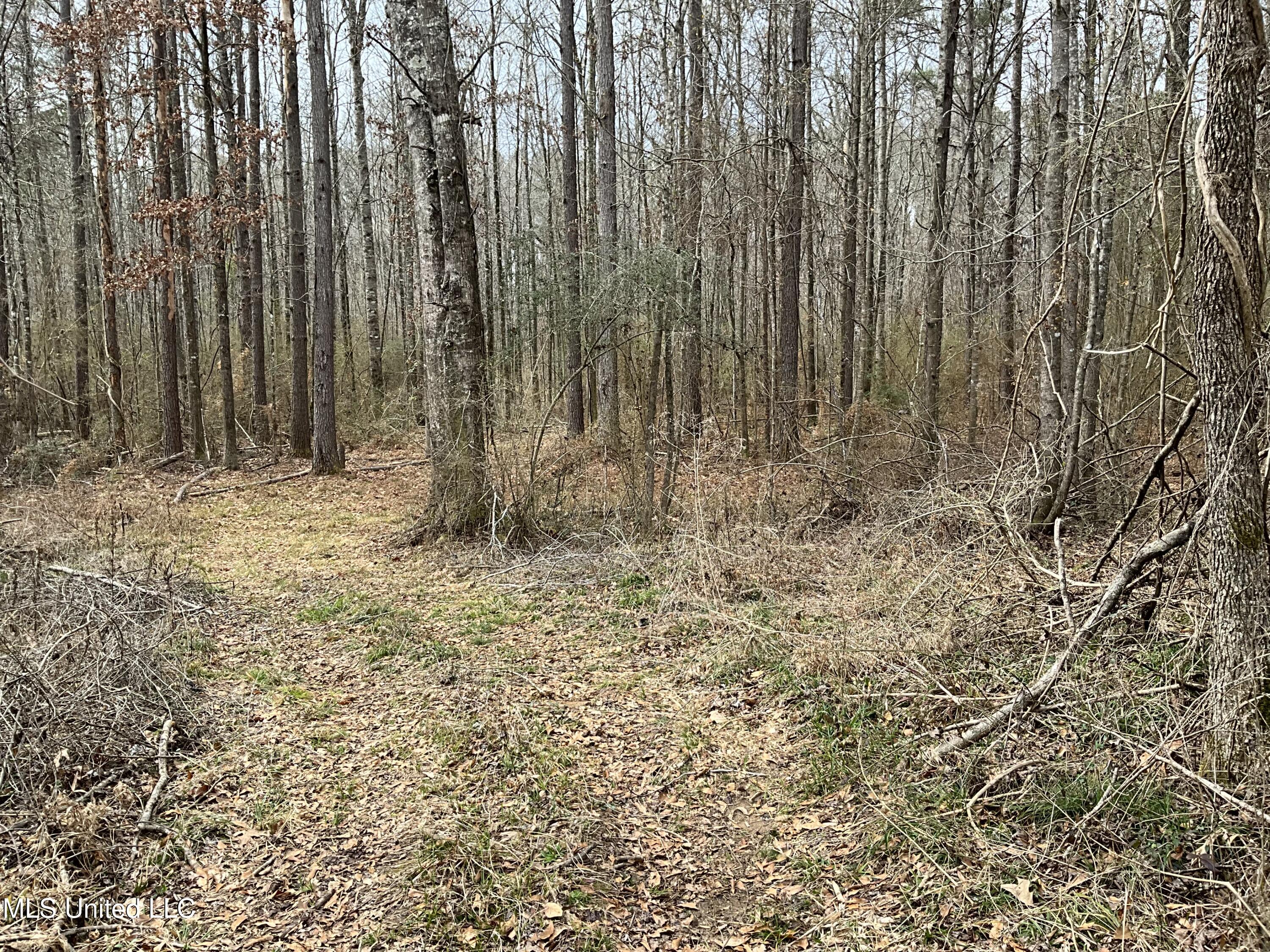 Berwick Cassels Road Gloster, MS 39638 - Photo 8 of 13 IMG_0491