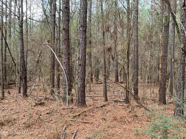 $611,325 | Berwick Cassels Road, Gloster, MS 39638