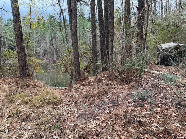 $611,325 | Berwick Cassels Road, Gloster, MS 39638