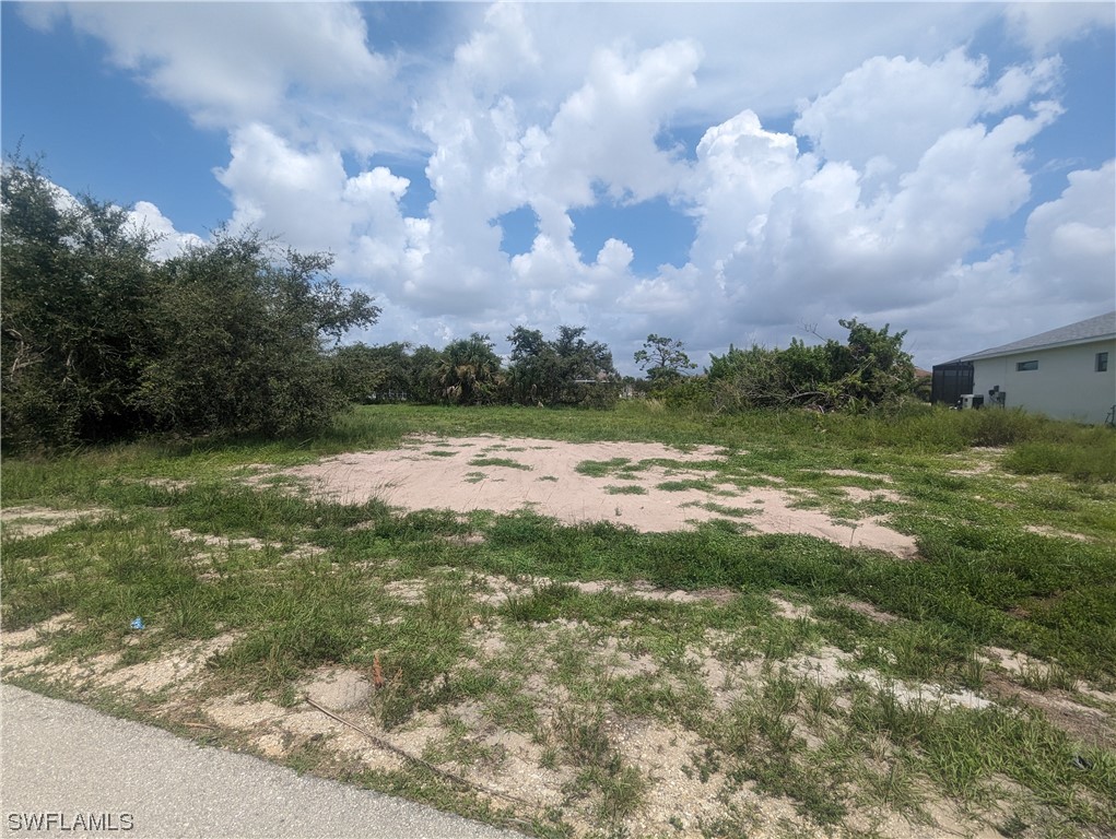 1315 Southwest 17th Place Cape Coral, FL 33991 - Photo 1 of 8 a view of a lake with houses in the back