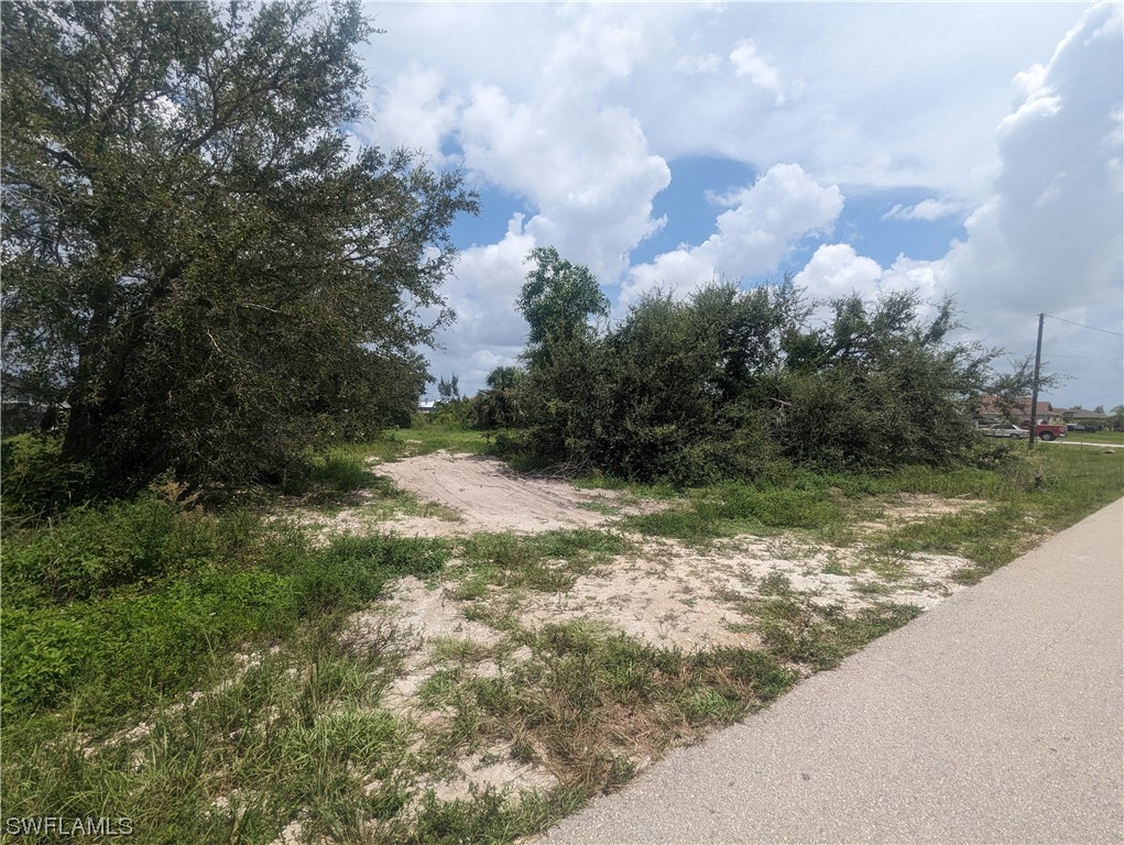 1315 Southwest 17th Place Cape Coral, FL 33991 - Photo 2 of 8 a view of a yard with an trees