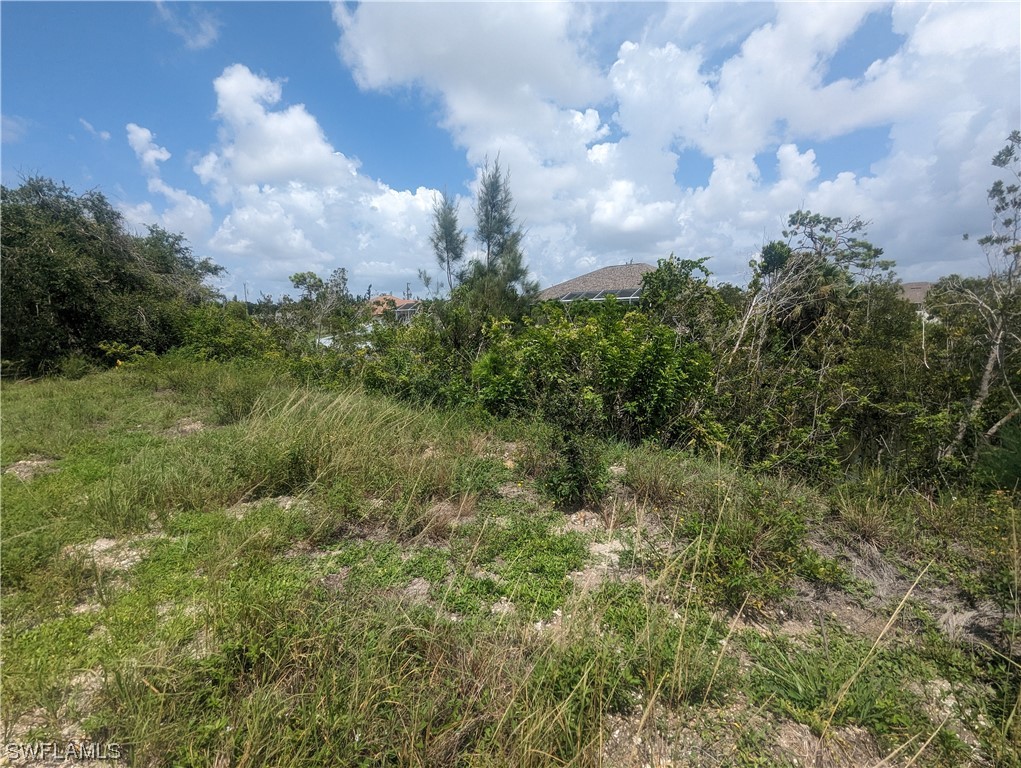 1315 Southwest 17th Place Cape Coral, FL 33991 - Photo 3 of 8