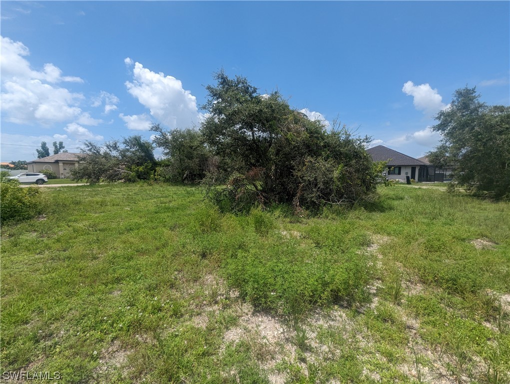 1315 Southwest 17th Place Cape Coral, FL 33991 - Photo 4 of 8 a view of a big yard with a large tree and a yard