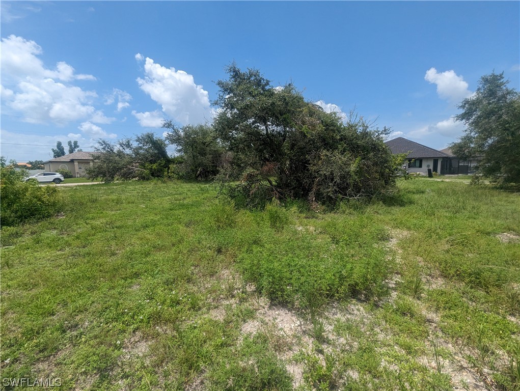 1315 Southwest 17th Place Cape Coral, FL 33991 - Photo 5 of 8 a view of a big yard with plants and large trees