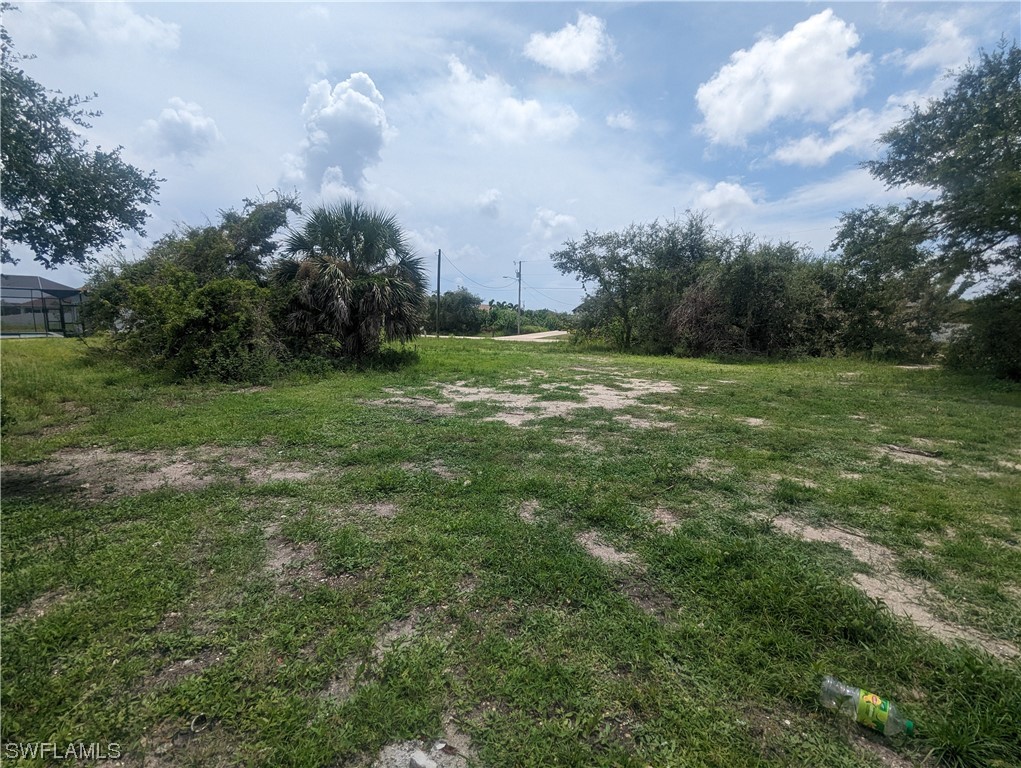 1315 Southwest 17th Place Cape Coral, FL 33991 - Photo 6 of 8 a view of field with trees in the background