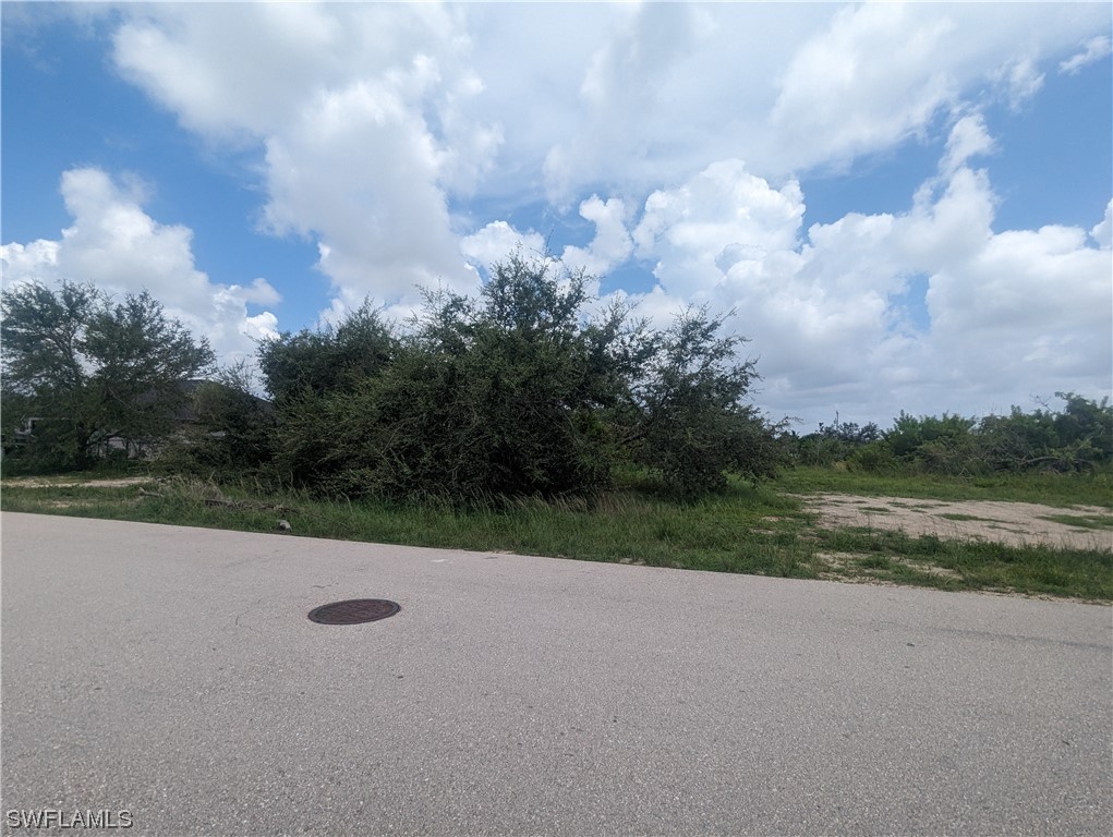 1315 Southwest 17th Place Cape Coral, FL 33991 - Photo 7 of 8 a view of a field and trees in the background