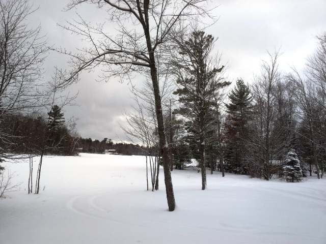 N11497 Cottage Road Tomahawk, WI 54487 - Photo 16 of 20 Gallery Image 16