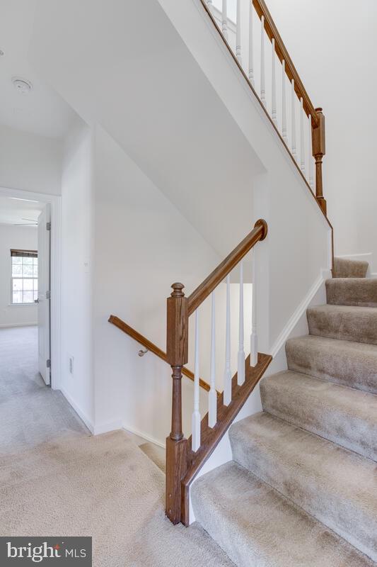 2806 Fredericksburg Road Hanover, MD 21076 - Photo 39 of 58 Gallery Image 39