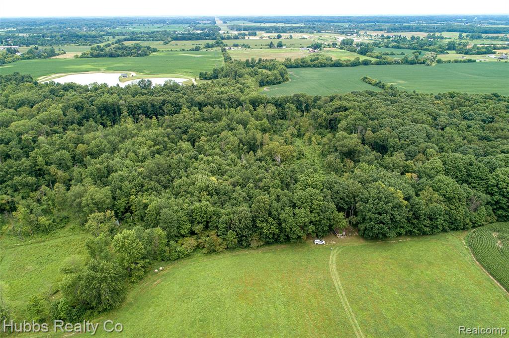 4251 East Frances Road Mount Morris, MI 48458 - Photo 46 of 51 Gallery Image 46