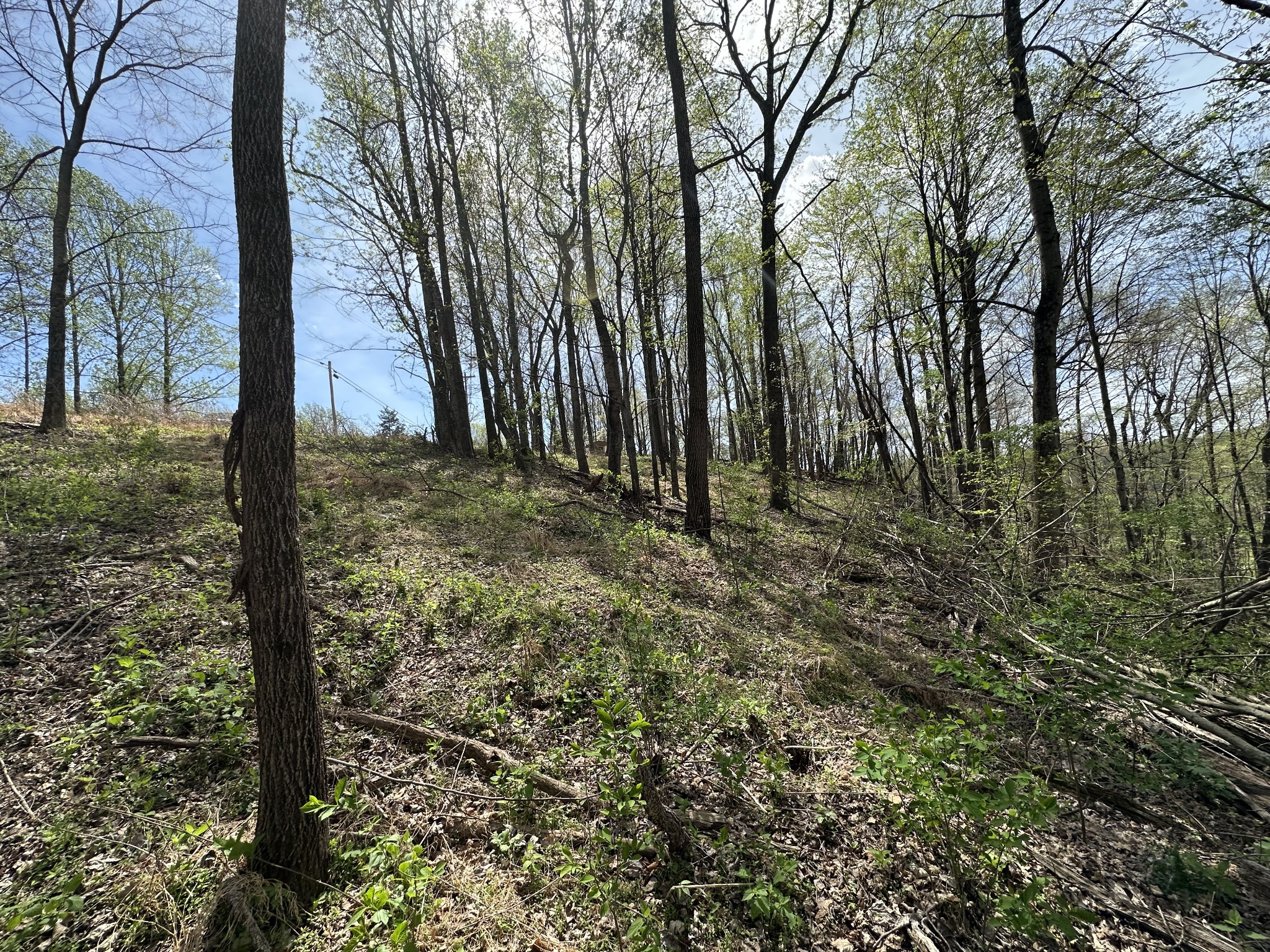 0 Maggart Road Elmwood, TN 38560 - Photo 11 of 27