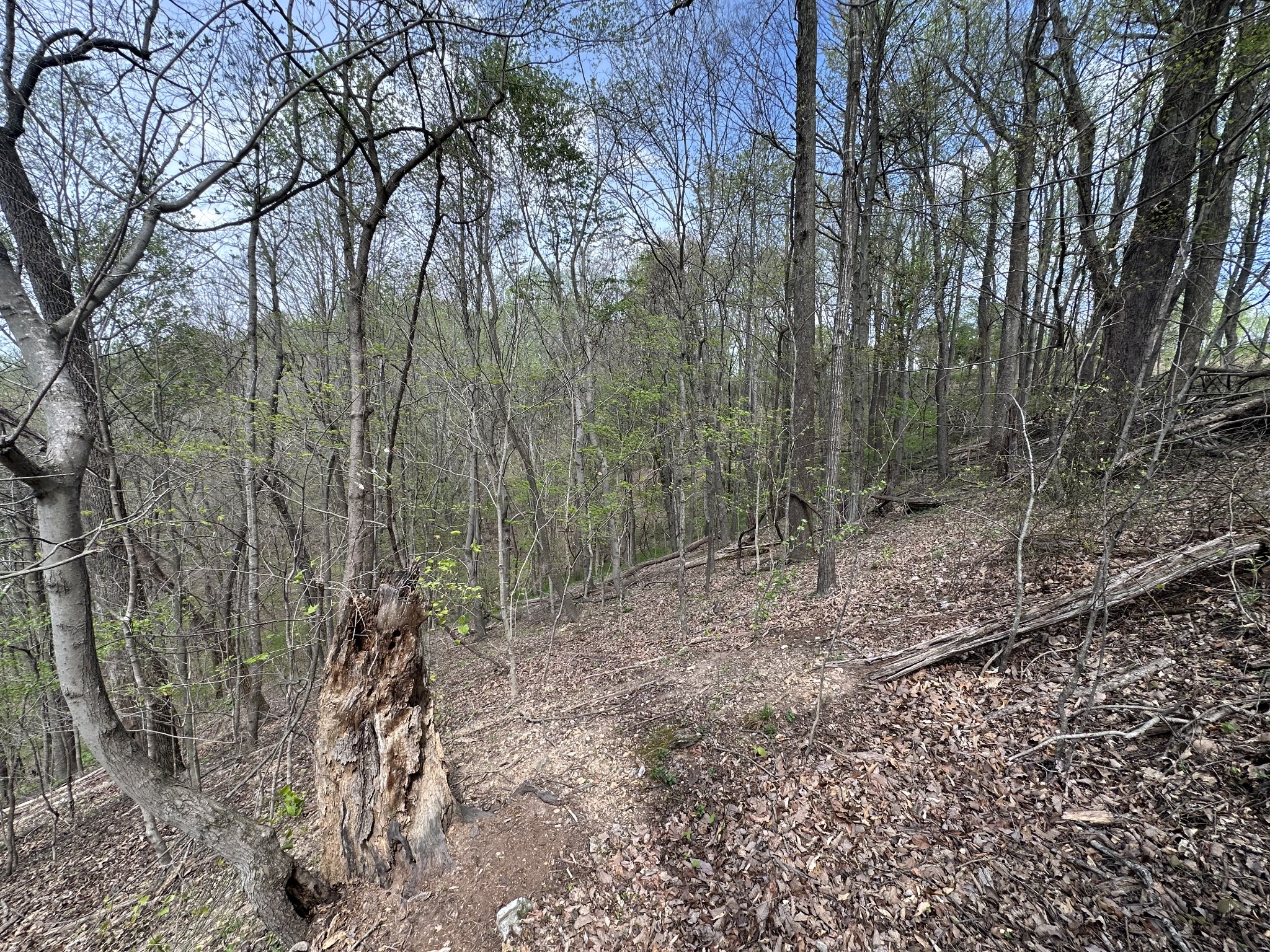 0 Maggart Road Elmwood, TN 38560 - Photo 12 of 27