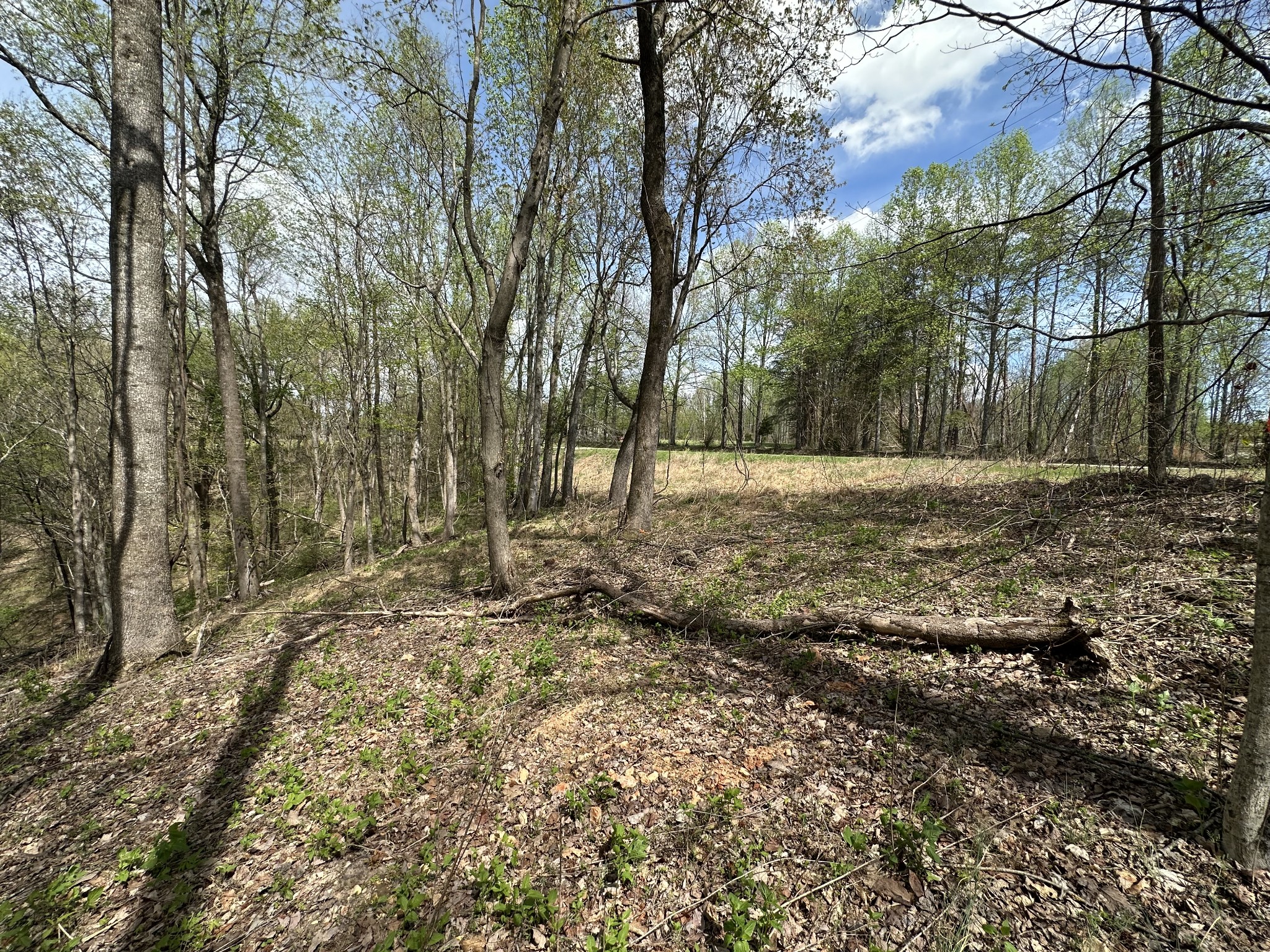 0 Maggart Road Elmwood, TN 38560 - Photo 14 of 27