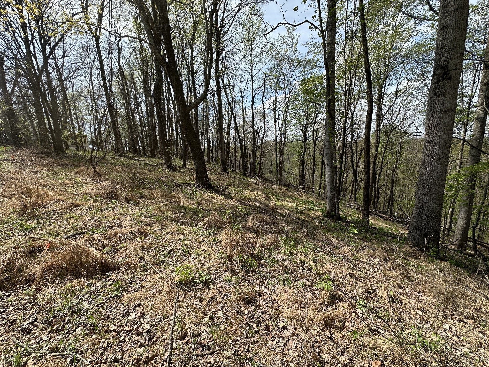 0 Maggart Road Elmwood, TN 38560 - Photo 15 of 27