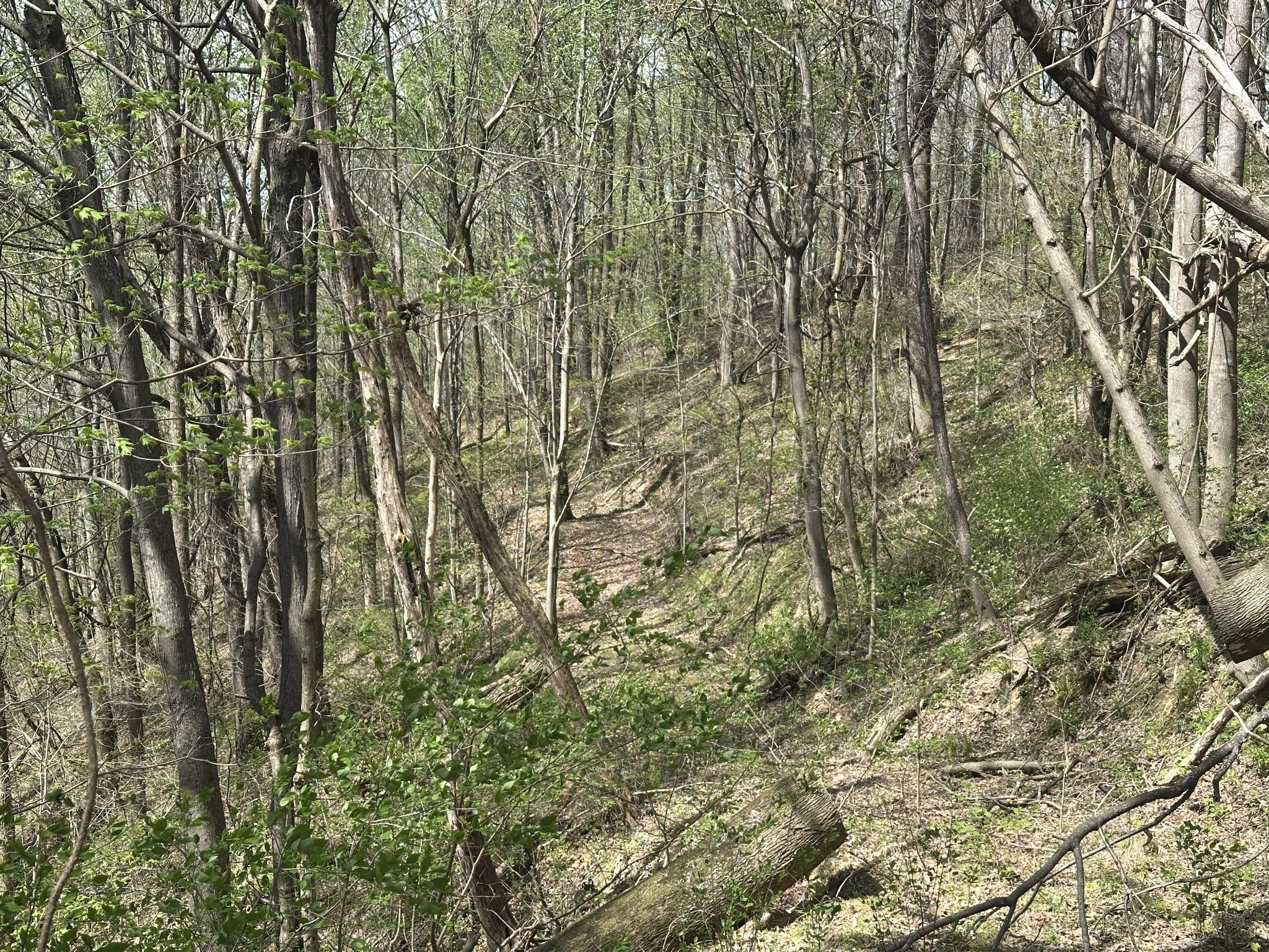 0 Maggart Road Elmwood, TN 38560 - Photo 16 of 27