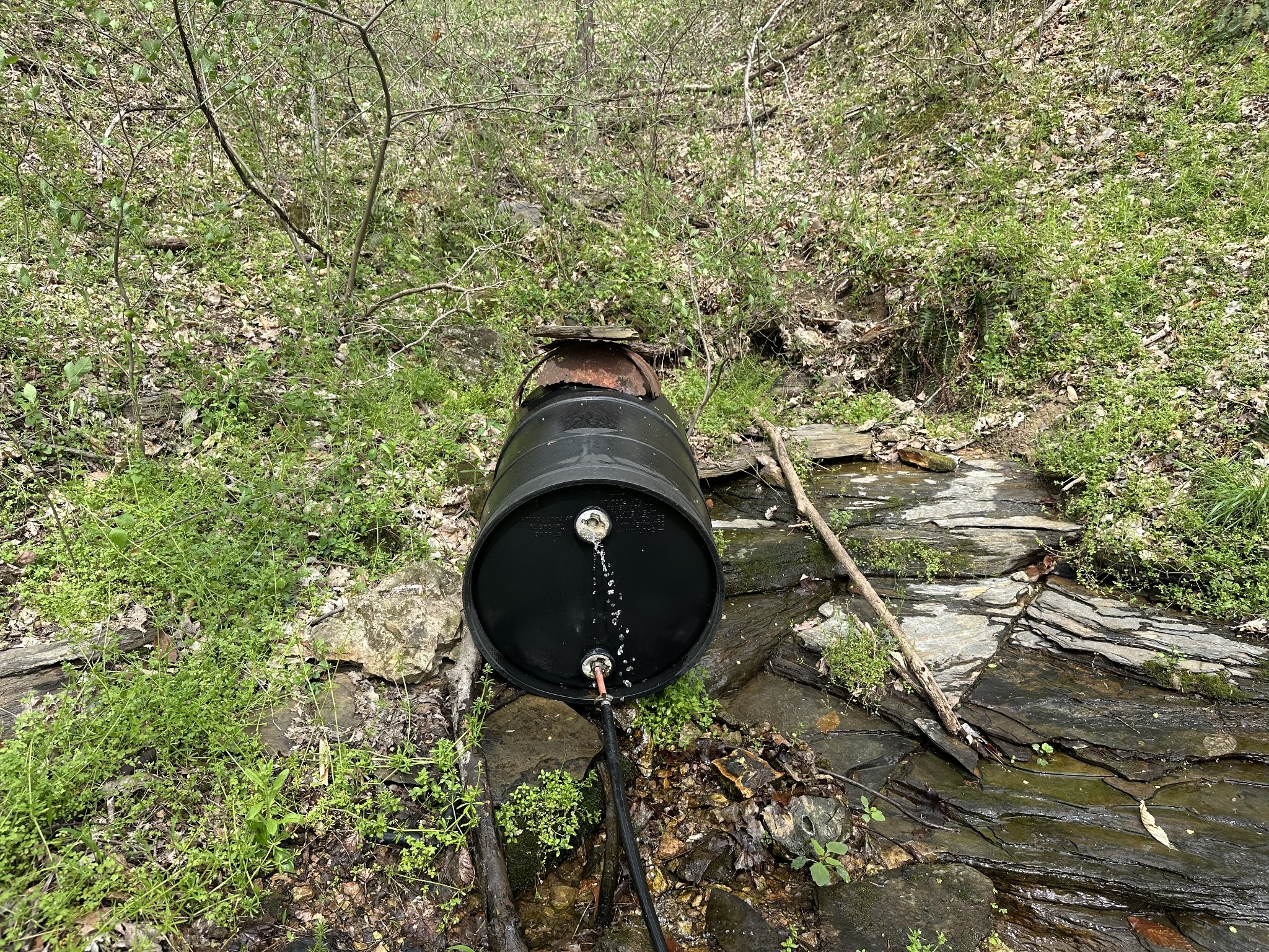 0 Maggart Road Elmwood, TN 38560 - Photo 18 of 27