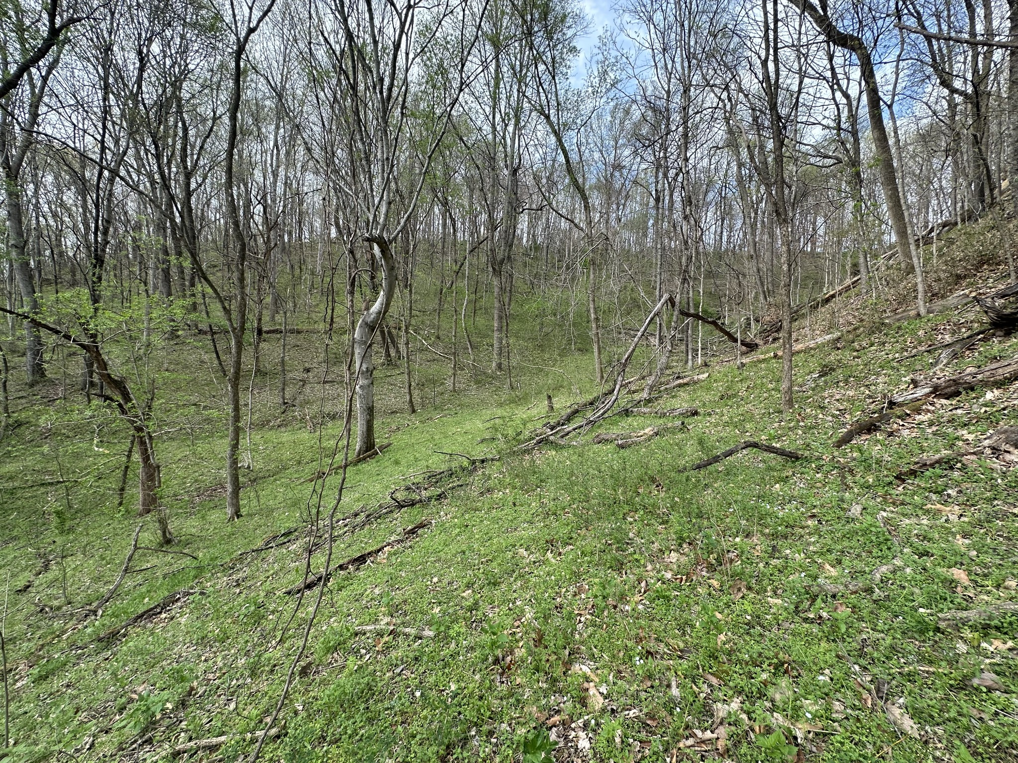 0 Maggart Road Elmwood, TN 38560 - Photo 19 of 27