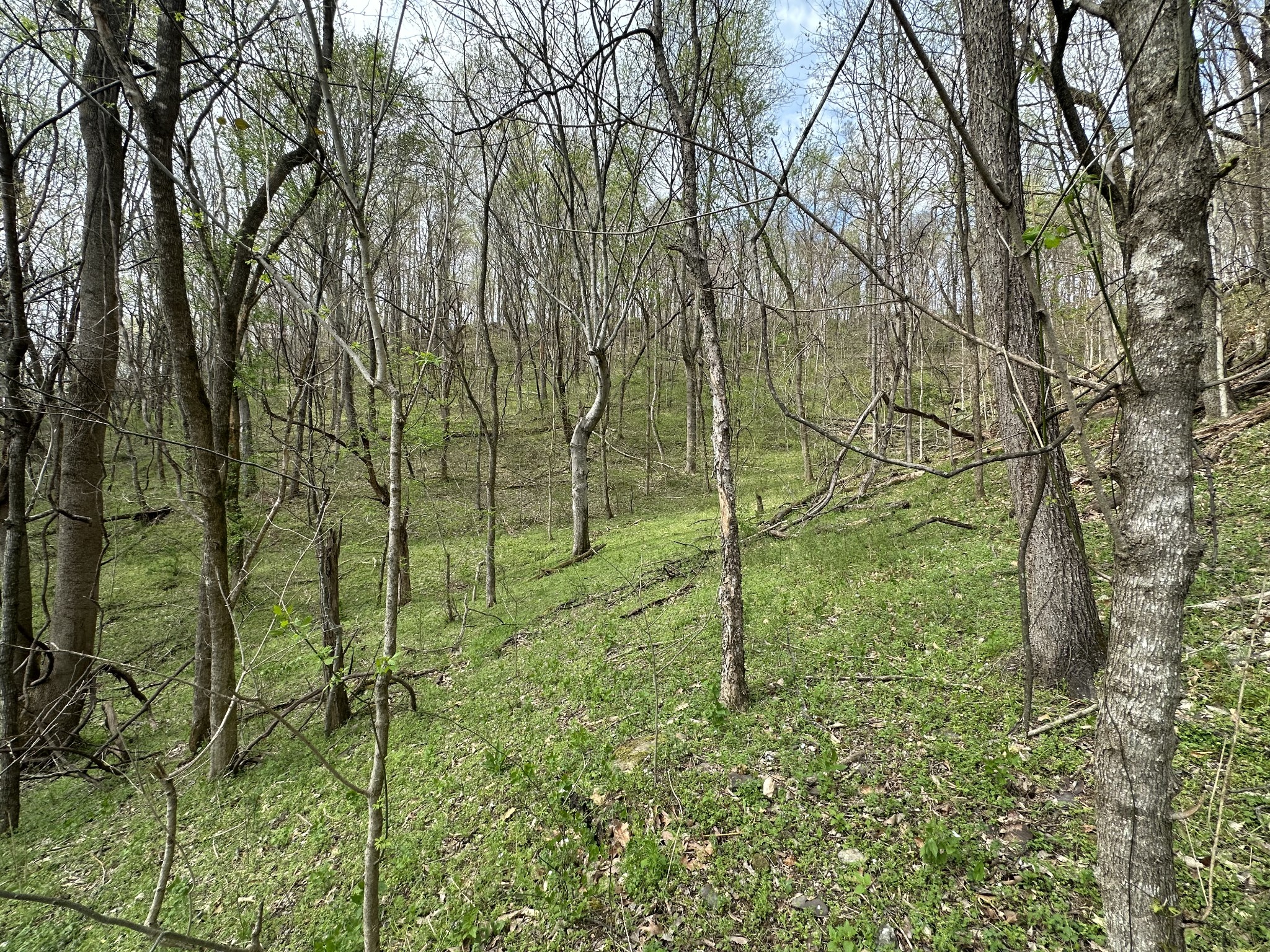 0 Maggart Road Elmwood, TN 38560 - Photo 20 of 27