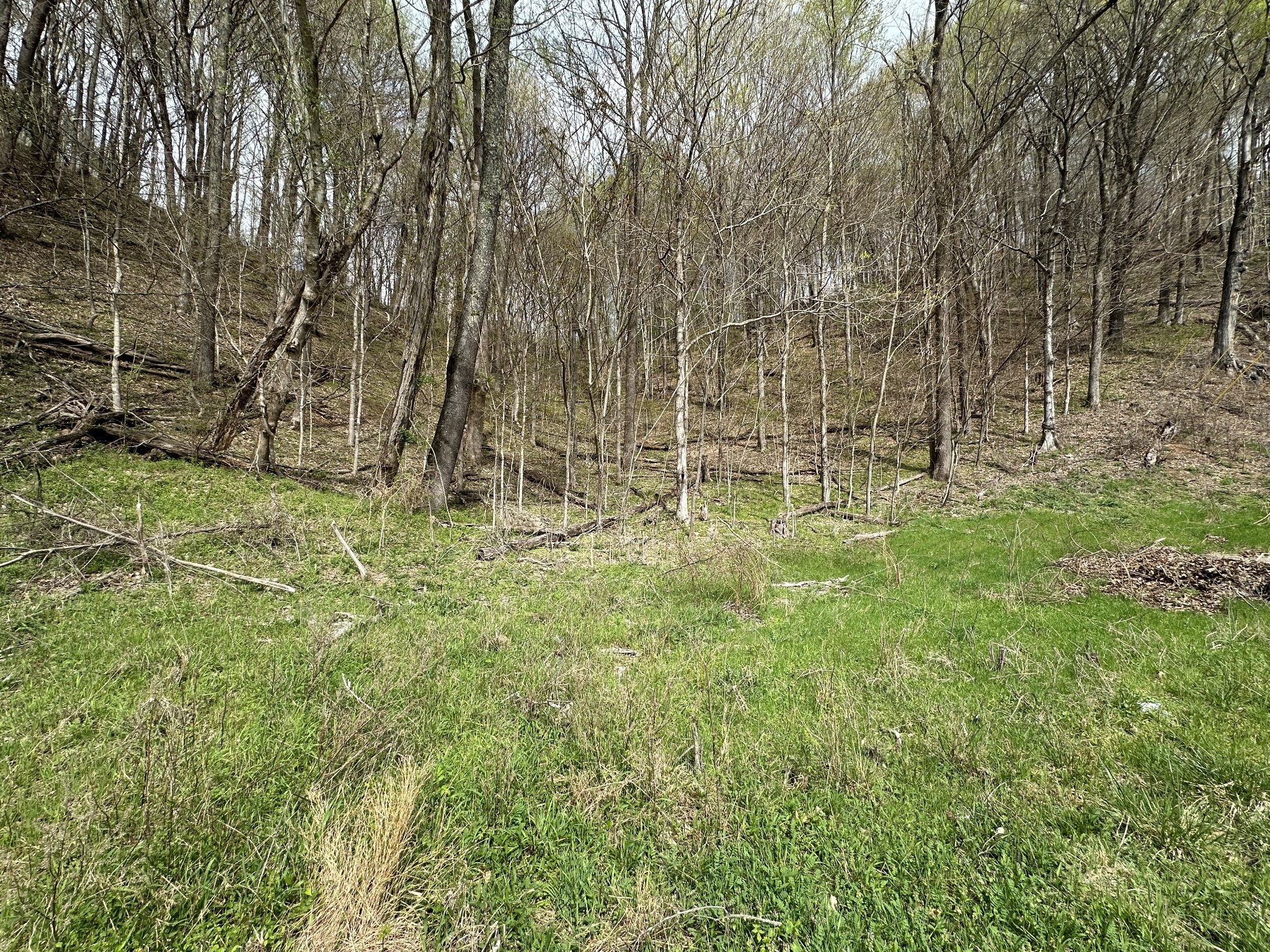 0 Maggart Road Elmwood, TN 38560 - Photo 21 of 27