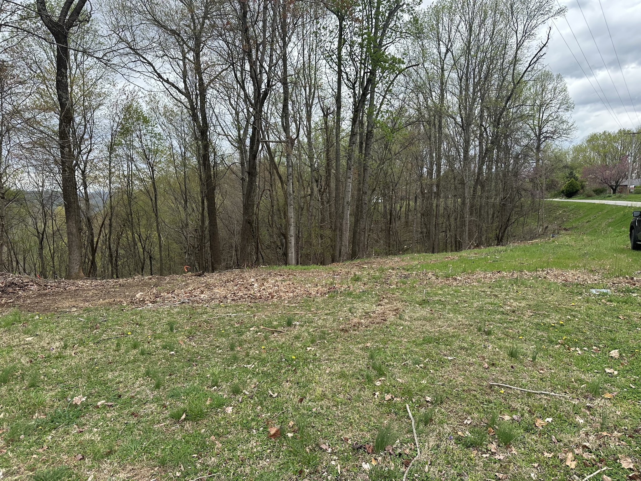 0 Maggart Road Elmwood, TN 38560 - Photo 22 of 27