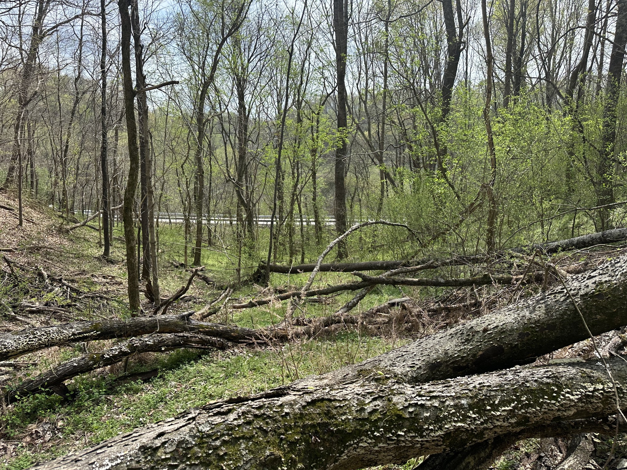 0 Maggart Road Elmwood, TN 38560 - Photo 23 of 27