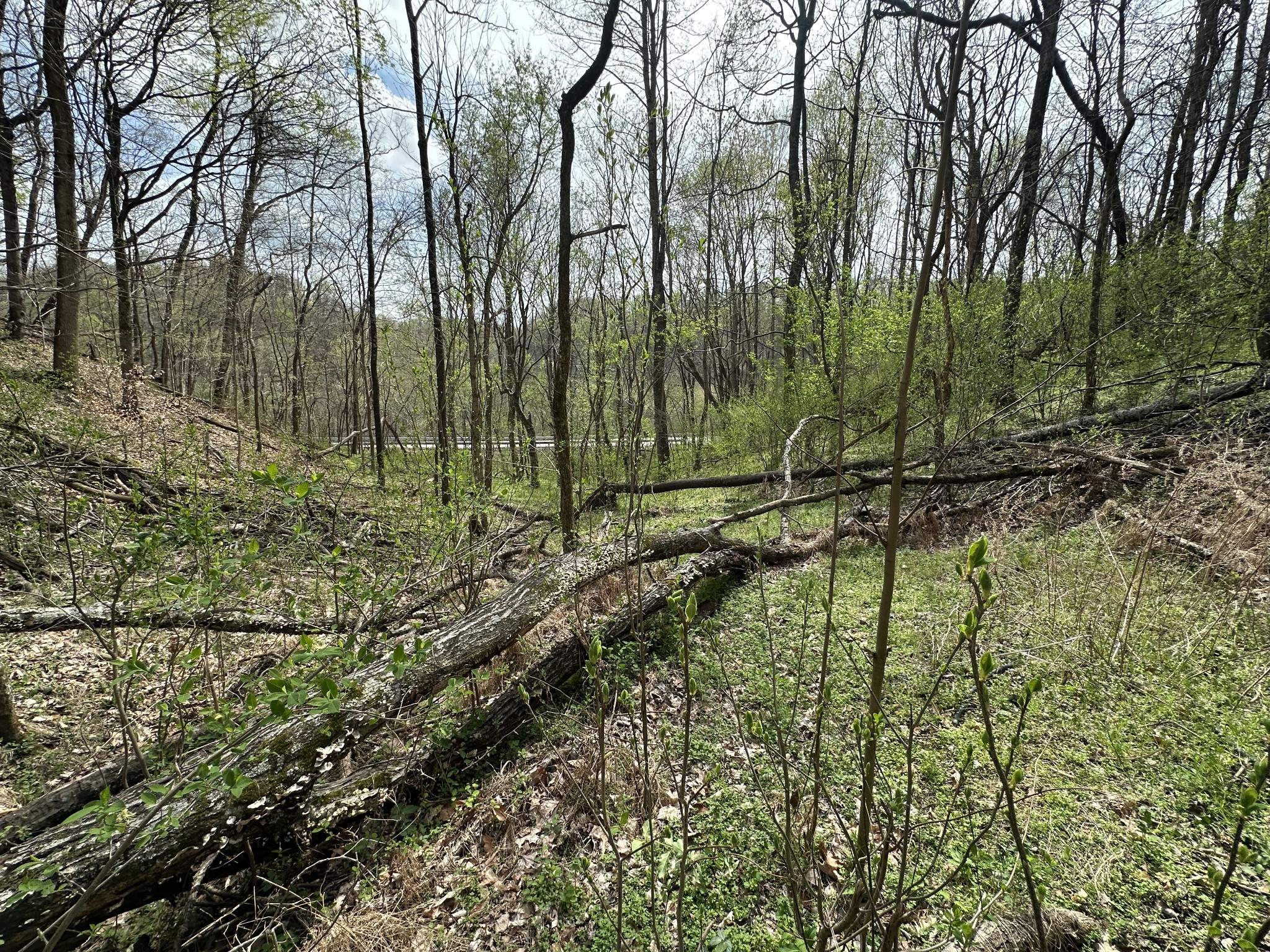 0 Maggart Road Elmwood, TN 38560 - Photo 24 of 27