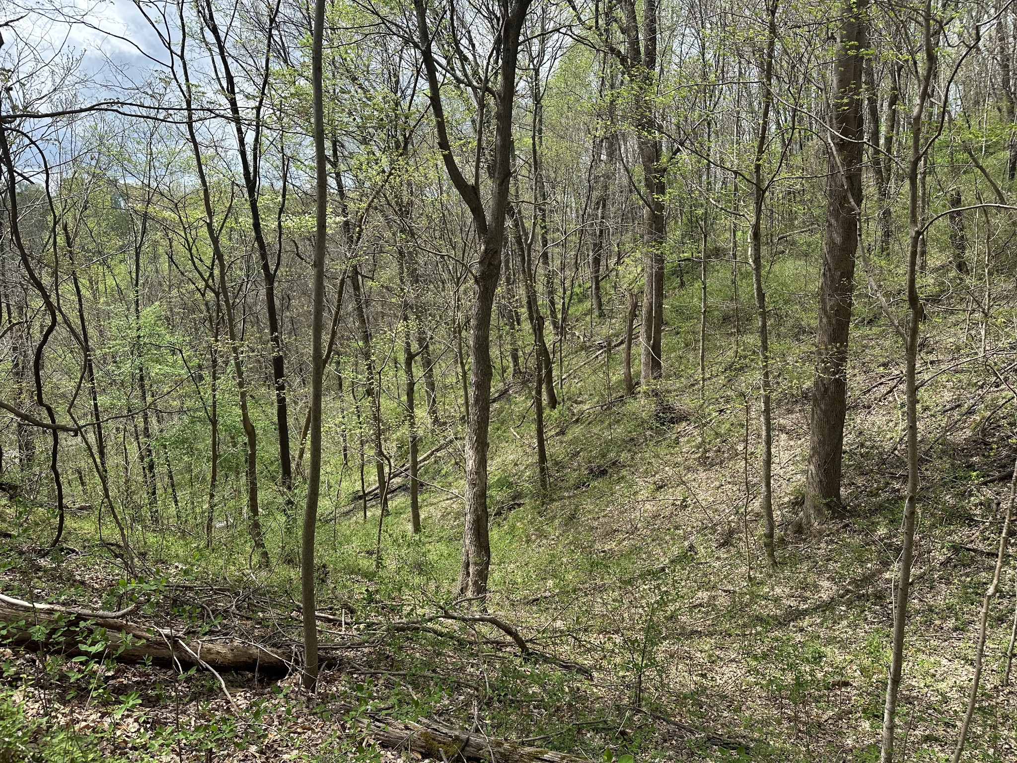 0 Maggart Road Elmwood, TN 38560 - Photo 25 of 27