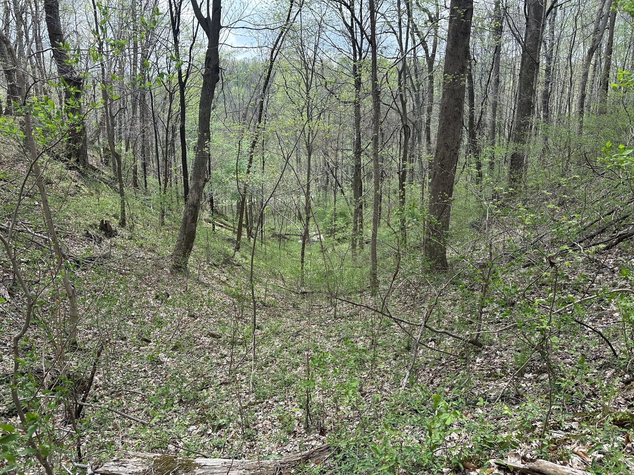 0 Maggart Road Elmwood, TN 38560 - Photo 26 of 27