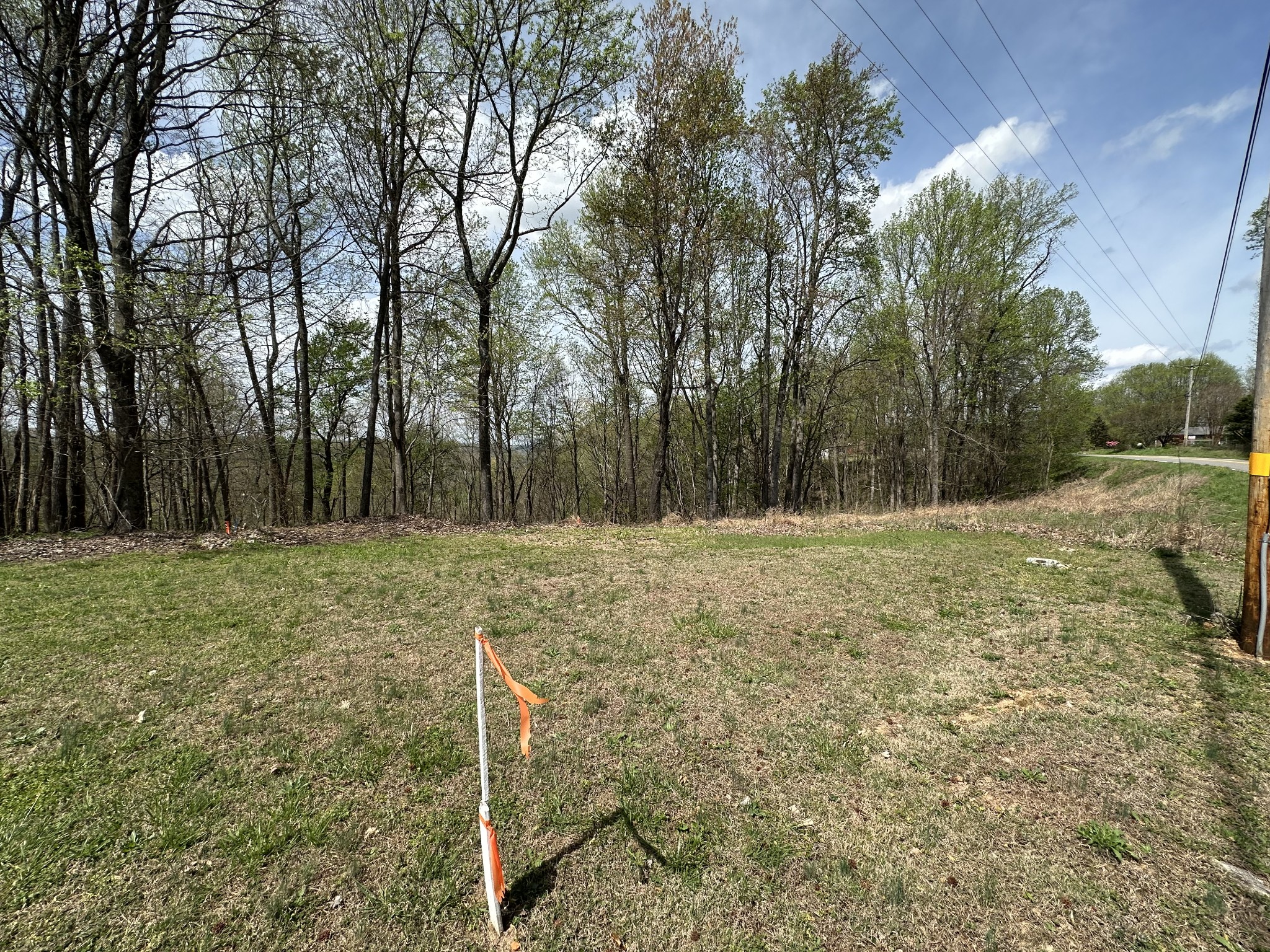 0 Maggart Road Elmwood, TN 38560 - Photo 3 of 27