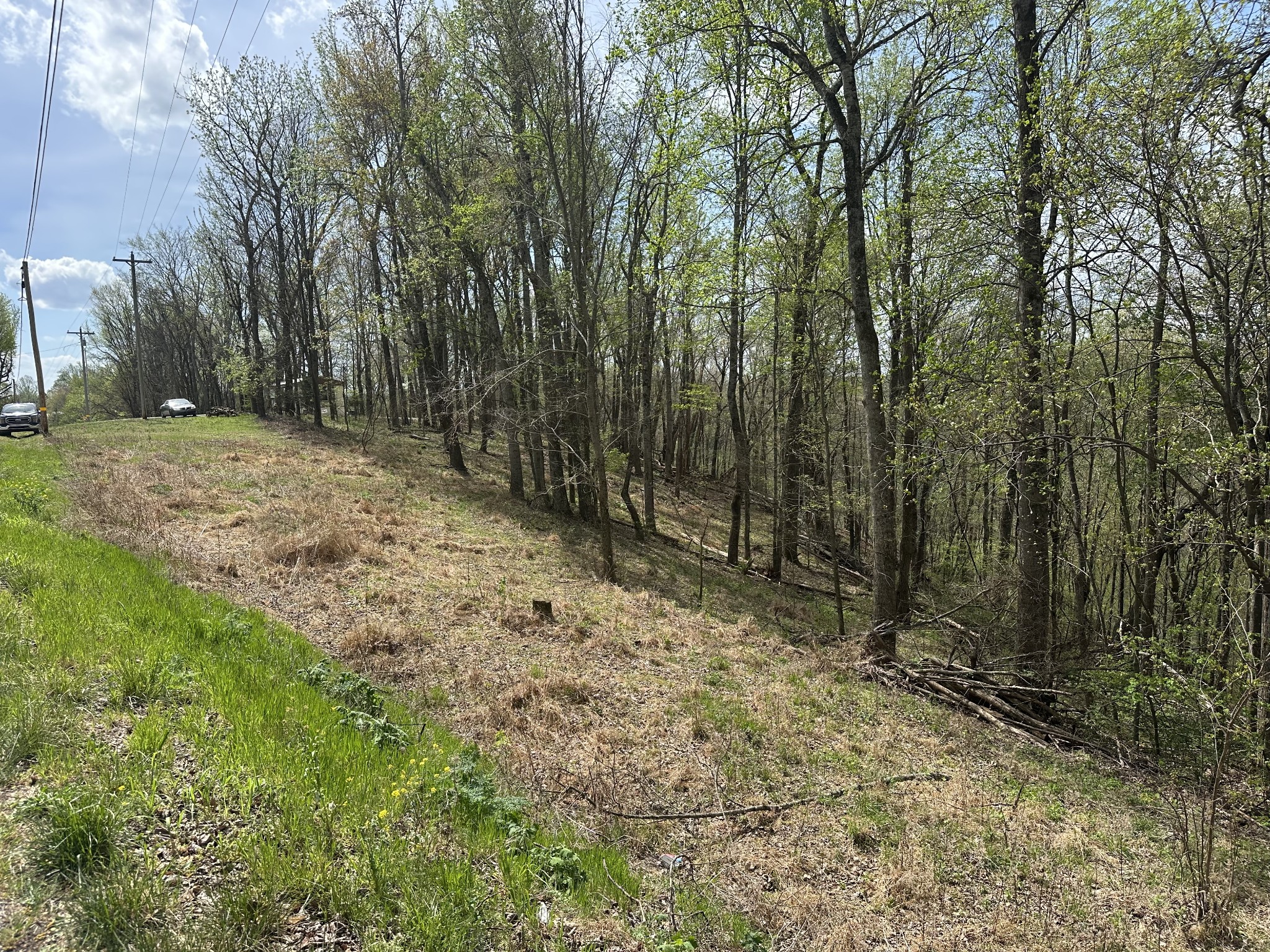 0 Maggart Road Elmwood, TN 38560 - Photo 4 of 27