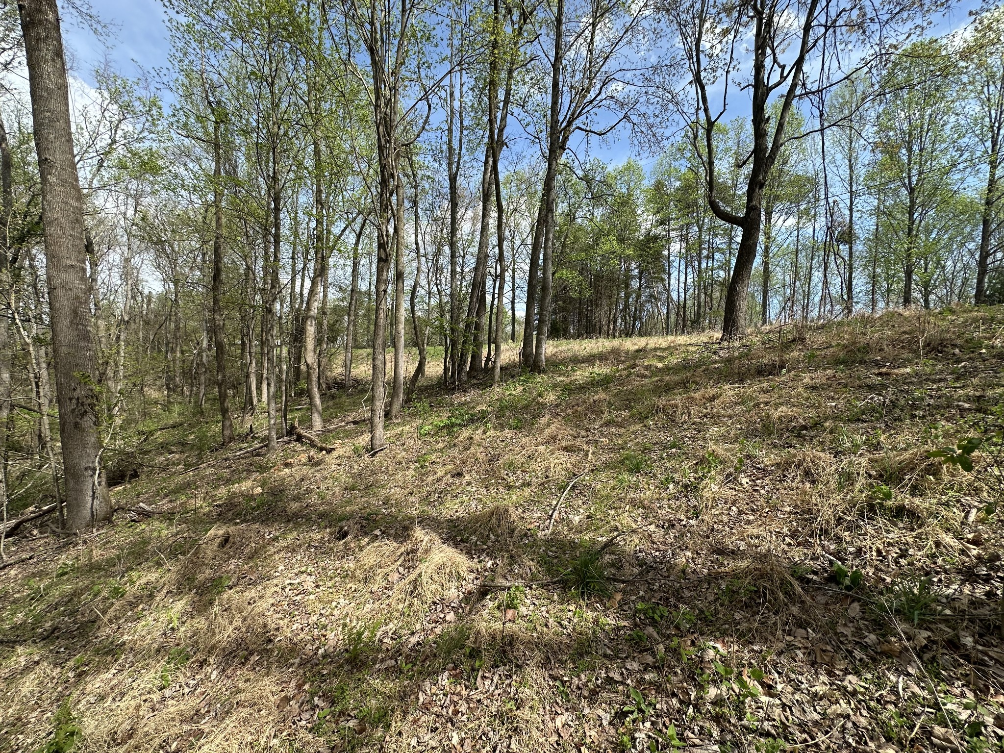 0 Maggart Road Elmwood, TN 38560 - Photo 5 of 27