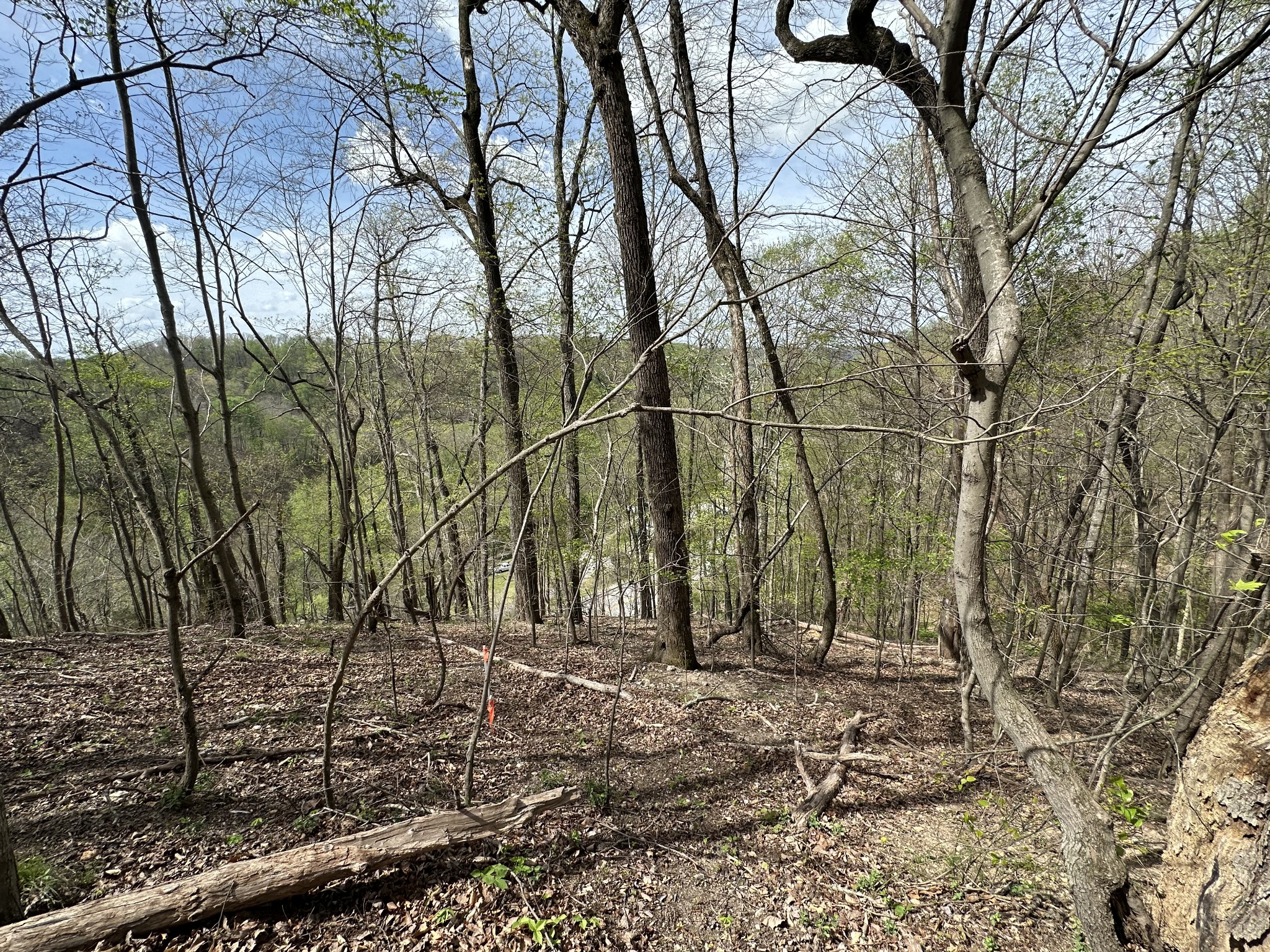 0 Maggart Road Elmwood, TN 38560 - Photo 6 of 27